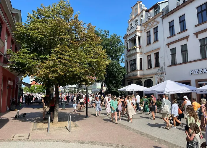 Monte Cassino De Luxe *